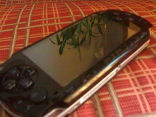 psp1000